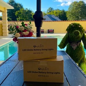 OxyLED 2 Pk 100 LED Globe String Light.  Ncnhbox5